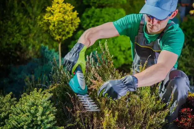 landscaping services Delton